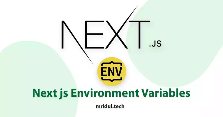 How to use Next js Environment Variables